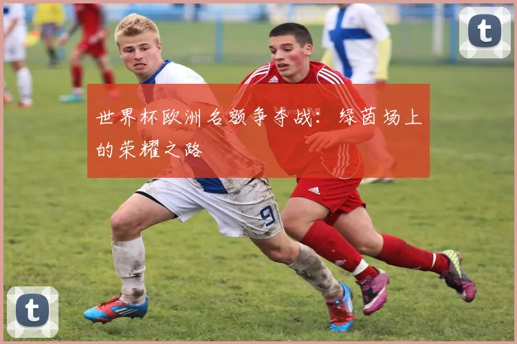 世界杯欧洲名额争夺战：绿茵场上的荣耀之路