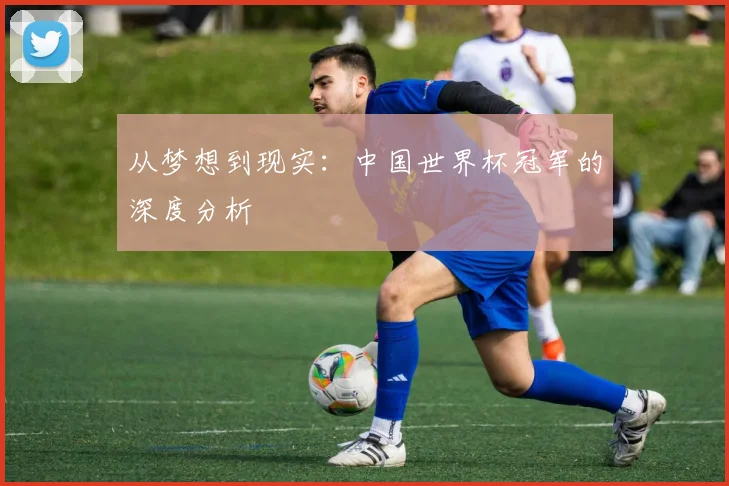 从梦想到现实：中国世界杯冠军的深度分析