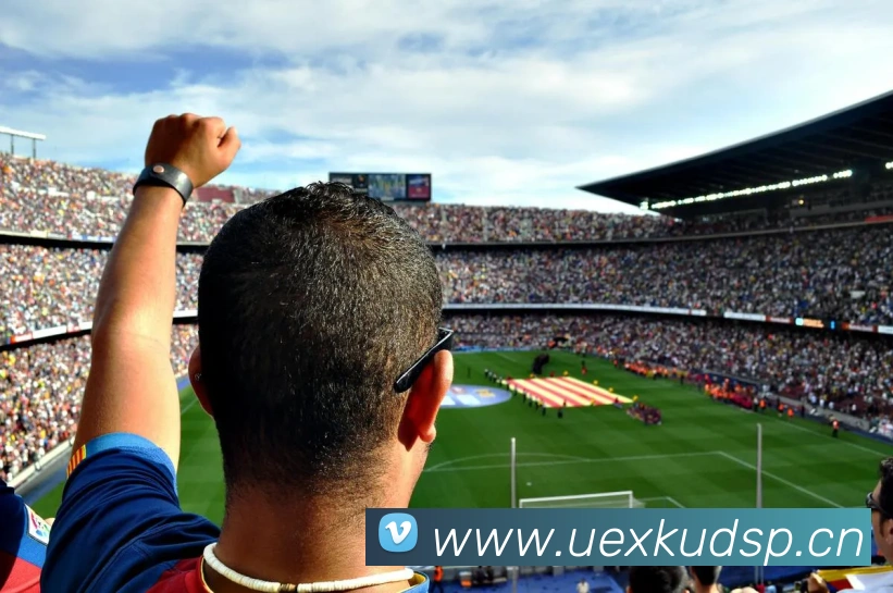 米兰站官网入口APP 体育赛事宣传图